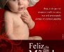 dimovel_maio1_2010